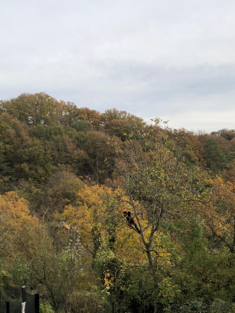 IMG 20251103 WA0045 768x1024