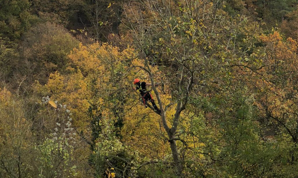 IMG-20251103-WA0045_cropped IMG 20251103 WA0045 Cropped 1024x613