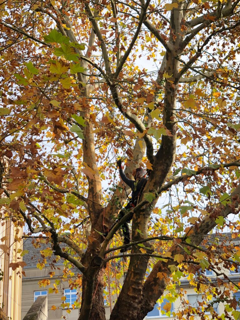 IMG-20251104-WA0058 IMG 20251104 WA0058 768x1024