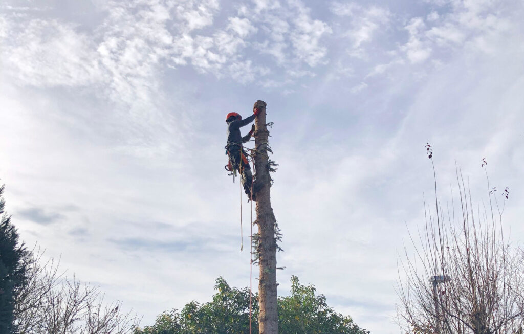 IMG-20251106-WA0089_cropped IMG 20251106 WA0089 Cropped 1024x653