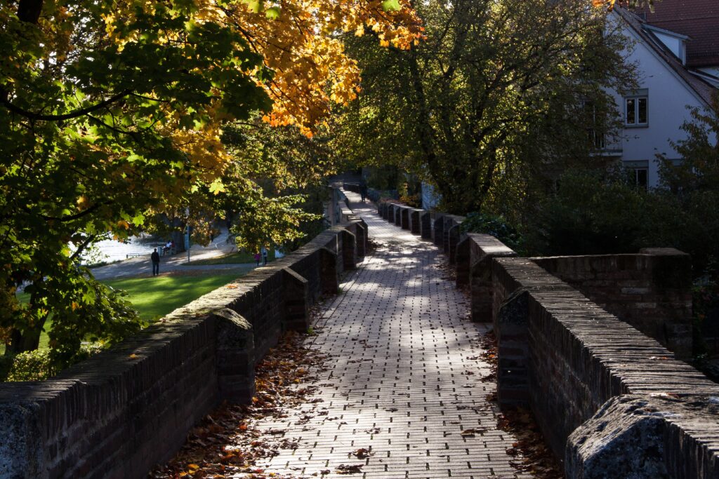 Tree Bridge Sunlight Leaf Sidewalk River 1011373 Pxhere.com 1024x683